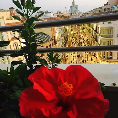 Larios Suites Apartamento